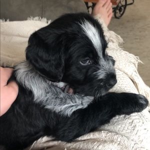 Meet your Posher, Colin